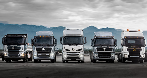 陜西重型汽車進(jìn)出口有限公司